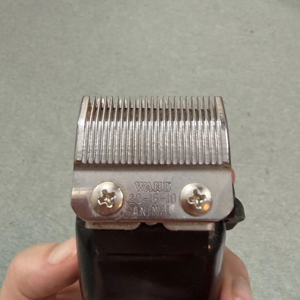 Wahl horse clipper